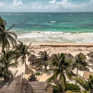 https://niken-beachfront-tulum-hotel.quintano-roohotels.com